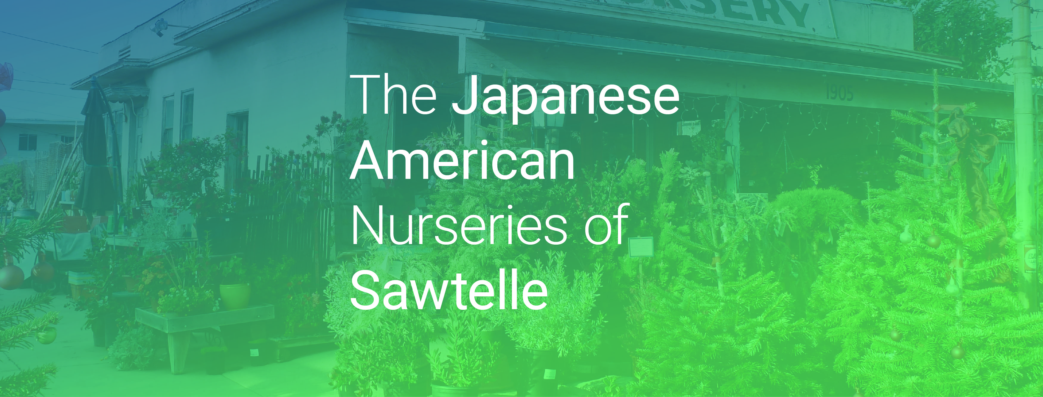 Japanese American Nurseries of Sawtelle