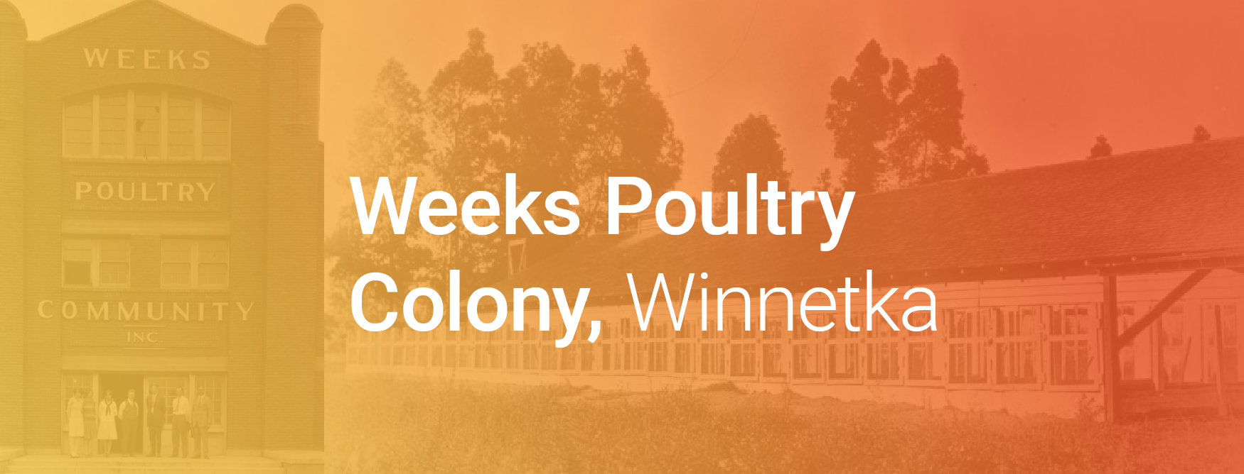 Weeks Poultry Colony