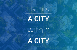 Planning a City within a City